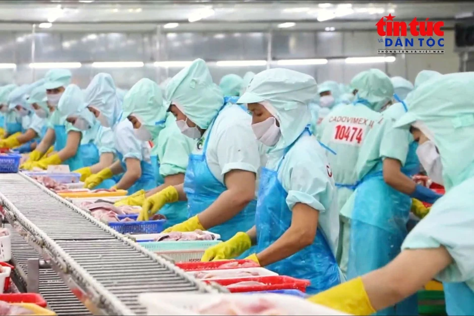 Tạo đà cho nông sản Việt - Bài 2: Nâng chất lượng sản xuất Tạo đà cho nông sản Việt - Bài 2: Nâng chất lượng sản xuất
