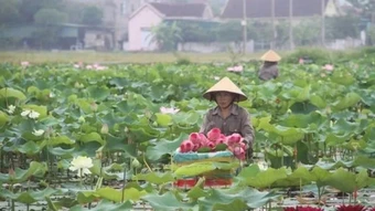 Tạo dựng niềm tin thị trường bằng cơ sở dữ liệu