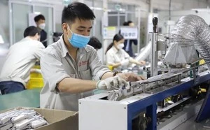 Tạo không gian đủ rộng, an toàn cho doanh nghiệp tư nhân tự lớn