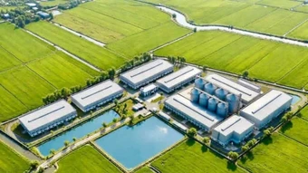 Tập đoàn ThaiBinh Seed đầu tư 1.000 tỷ đồng xây dựng nhà máy chế biến gạo chất lượng cao
