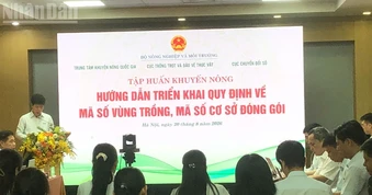 Tập huấn triển khai quy định về mã số vùng trồng, mã số cơ sở đóng gói