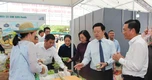 Tây Ninh: Đưa đặc sản địa phương ra thị trường bằng lễ hội, livestream