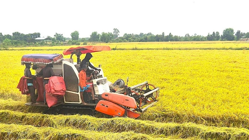 Tây Ninh khơi thông nguồn lực, giữ vững mục tiêu tăng trưởng hai con số