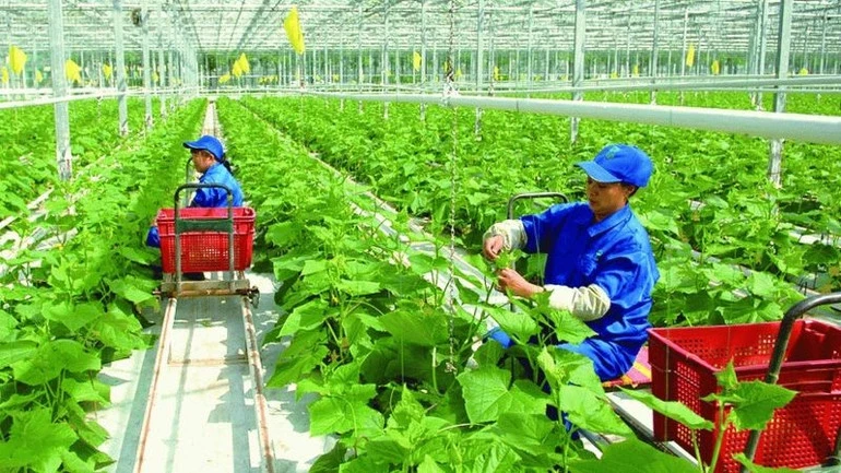 Tham gia Triển lãm xanh thế giới (GreenExpo 2027), Việt Nam cam kết tăng trưởng xanh Tham gia Triển lãm xanh thế giới (GreenExpo 2027), Việt Nam cam kết tăng trưởng xanh