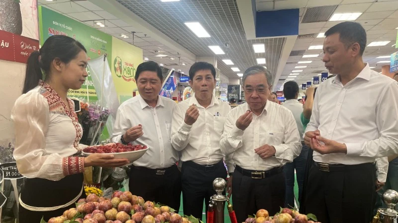 Thành phố Hồ Chí Minh hỗ trợ tiêu thụ mận hậu Sơn La Thành phố Hồ Chí Minh hỗ trợ tiêu thụ mận hậu Sơn La