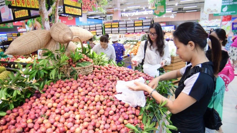 Thành phố Hồ Chí Minh hỗ trợ tiêu thụ mận hậu Sơn La Thành phố Hồ Chí Minh hỗ trợ tiêu thụ mận hậu Sơn La