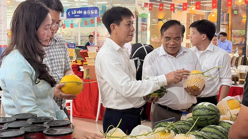 Thành phố Hồ Chí Minh liên kết Hải Phòng tiêu thụ vải Thanh Hà Thành phố Hồ Chí Minh liên kết Hải Phòng tiêu thụ vải Thanh Hà