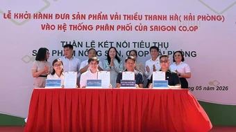 Thành phố Hồ Chí Minh liên kết Hải Phòng tiêu thụ vải Thanh Hà