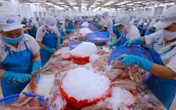 Tháo điểm nghẽn để cán đích xuất khẩu nông, lâm, thủy sản Tháo điểm nghẽn để cán đích xuất khẩu nông, lâm, thủy sản