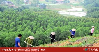 Tháo gỡ điểm nghẽn dữ liệu vùng trồng cho xuất khẩu lâm sản
