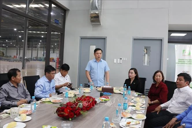Tháo gỡ 'điểm nghẽn' về mã số vùng trồng sầu riêng - Bài cuối: 'Cuộc đua' tốc độ trước thềm mùa vụ Tháo gỡ 'điểm nghẽn' về mã số vùng trồng sầu riêng - Bài cuối: 'Cuộc đua' tốc độ trước thềm mùa vụ