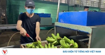Tháo gỡ khó khăn cho xuất khẩu nông lâm thủy sản
