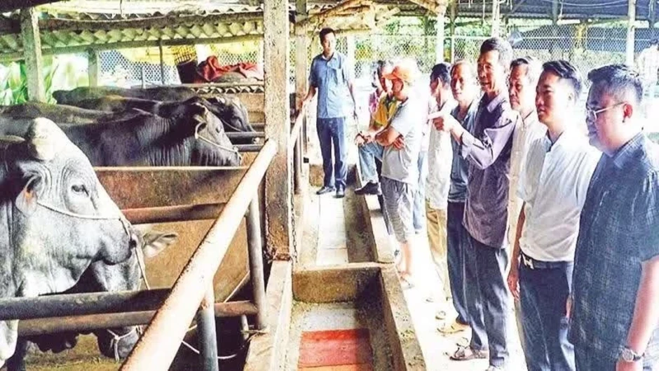 Thay đổi tư duy chăn nuôi