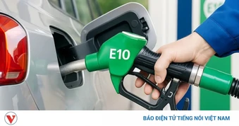 Thí điểm một số chính sách trong triển khai lộ trình sử dụng xăng E10