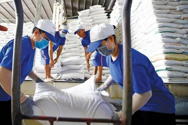 Thị trường gạo xuất khẩu: Chậm mua, chờ giá Thị trường gạo xuất khẩu: Chậm mua, chờ giá