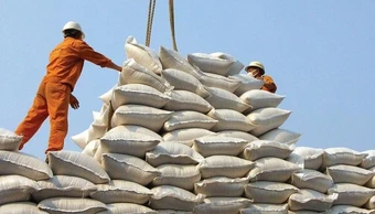 Thị trường gạo xuất khẩu: Chậm mua, chờ giá