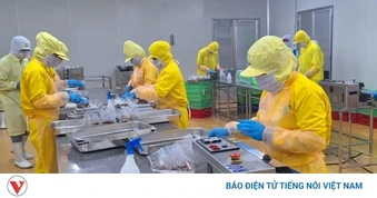 Thị trường Halal: Cơ hội bứt phá cho nông sản Việt Nam