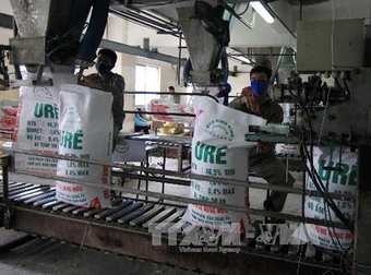 Thị trường phân bón: Giá bán trong nước chững lại theo xu hướng thế giới