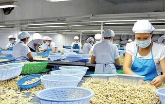 Thị trường Trung Đông chỉ chiếm 2% xuất khẩu, nhưng rủi ro lan rộng tới chuỗi nông sản Việt