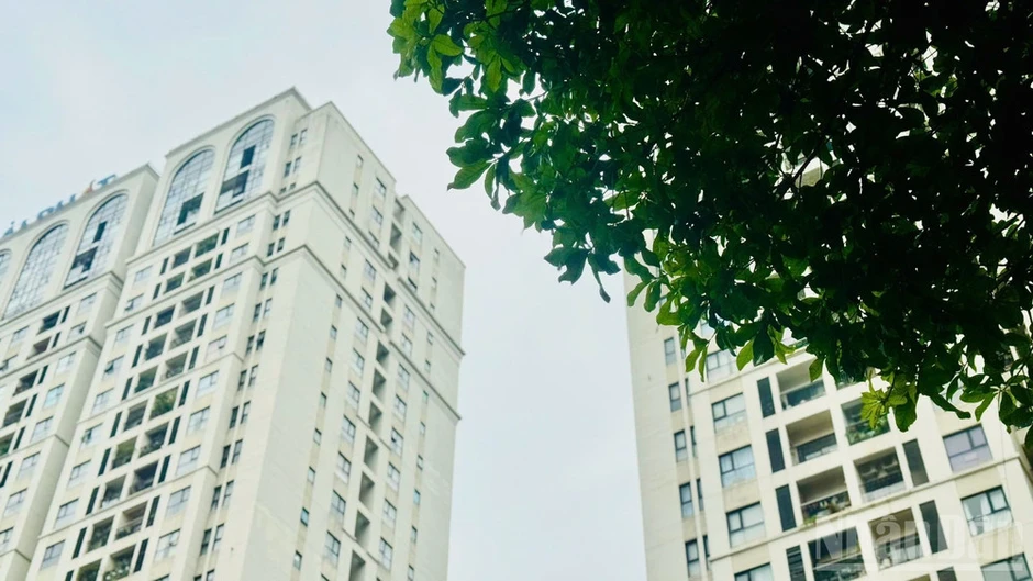 Thị trường văn phòng Việt Nam: Doanh nghiệp mở rộng chiến lược thuê ra ngoài khu vực trung tâm Thị trường văn phòng Việt Nam: Doanh nghiệp mở rộng chiến lược thuê ra ngoài khu vực trung tâm