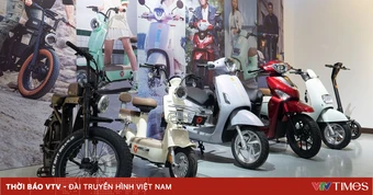 Thị trường xe điện Việt Nam trước giờ G chuyển đổi xanh