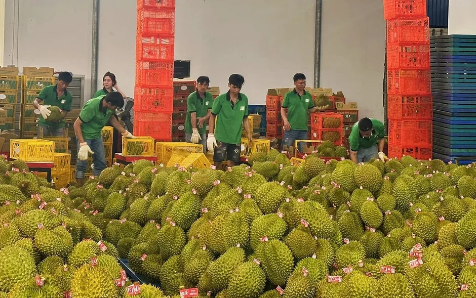 Thích ứng với các quy định xuất khẩu sang Trung Quốc Thích ứng với các quy định xuất khẩu sang Trung Quốc