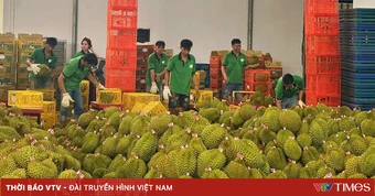 Thích ứng với các quy định xuất khẩu sang Trung Quốc