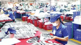 Thiết kế chính sách làm “bệ phóng” cho kinh tế tư nhân