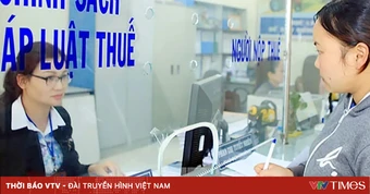 Thông đồng, bao che người nộp thuế nhằm ngăn cản cơ quan thuế xác minh thông tin bị phạt tới 100 triệu đồng