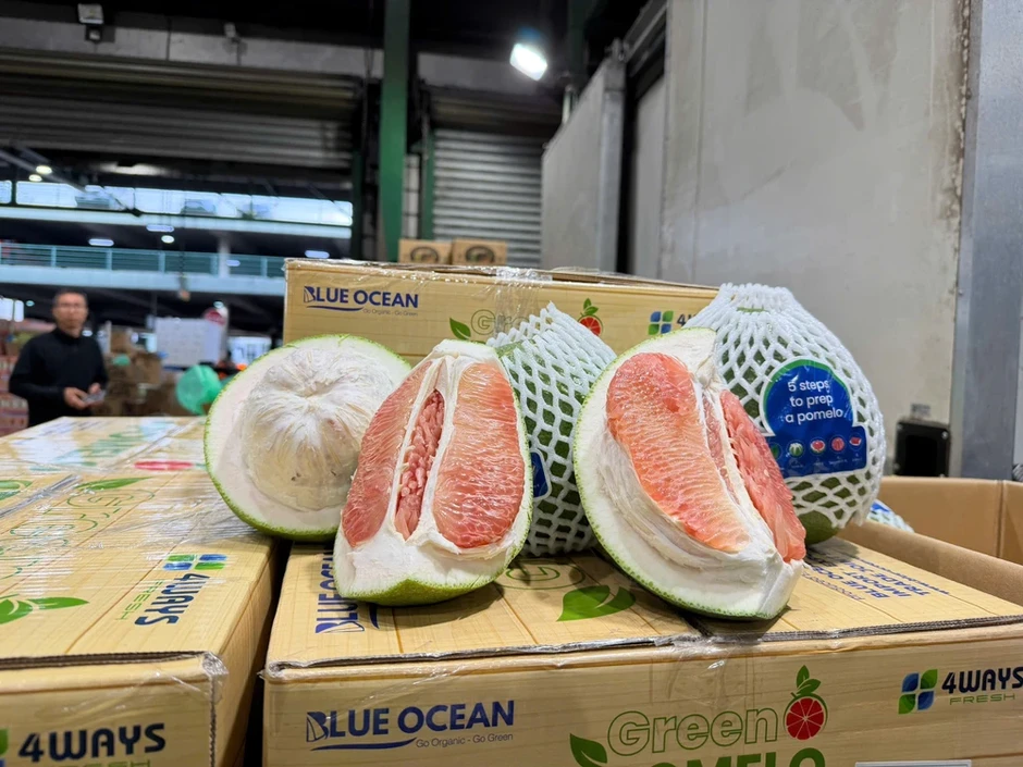 Thông quan lô bưởi tươi đầu tiên của Việt Nam vào Australia