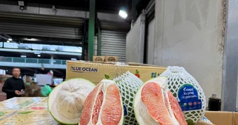 Thông quan lô bưởi tươi đầu tiên của Việt Nam vào Australia