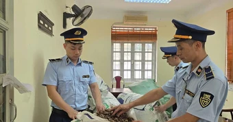 Thông tin mới vụ 80kg xác ve sầu khô bị tạm giữ ở Lạng Sơn