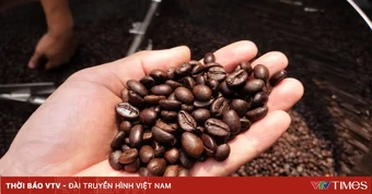 Thu 4,8 tỷ USD từ xuất khẩu cà phê nửa đầu năm