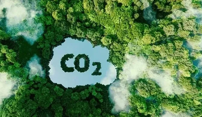 Thu giữ và lưu trữ CO2 - Chìa khóa hướng tới Net Zero Thu giữ và lưu trữ CO2 - Chìa khóa hướng tới Net Zero