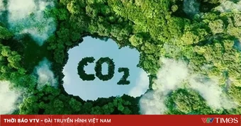 Thu giữ và lưu trữ CO2 - Chìa khóa hướng tới Net Zero