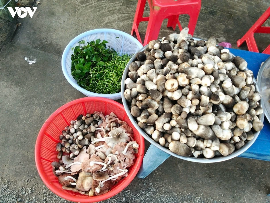 Thu nhập hàng chục triệu đồng mỗi vụ nhờ mô hình “Trồng nấm rơm trong nhà” Thu nhập hàng chục triệu đồng mỗi vụ nhờ mô hình “Trồng nấm rơm trong nhà”
