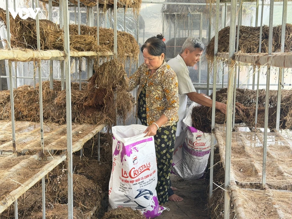 Thu nhập hàng chục triệu đồng mỗi vụ nhờ mô hình “Trồng nấm rơm trong nhà” Thu nhập hàng chục triệu đồng mỗi vụ nhờ mô hình “Trồng nấm rơm trong nhà”