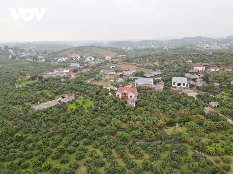 Thủ phủ vải thiều Bắc Ninh công nhận 143 nhà vườn đẹp Thủ phủ vải thiều Bắc Ninh công nhận 143 nhà vườn đẹp