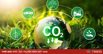 Thủ tục hành chính mới về giảm nhẹ phát thải khí nhà kính và tín chỉ carbon