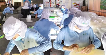 Thúc đẩy chuyển đổi kép, mở đường cho doanh nghiệp vào chuỗi giá trị toàn cầu