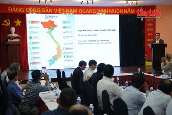 Thúc đẩy kết nối công nghệ và thương mại nông sản Việt Nam - Nhật Bản