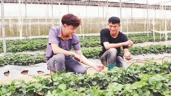Thúc đẩy khởi nghiệp từ hợp tác xã nông nghiệp