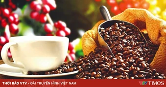 Thúc đẩy liên kết chế biến sâu, nâng giá trị cho cà phê Việt
