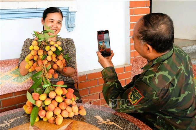 Thúc đẩy tiêu thụ vải thiều trên môi trường số Thúc đẩy tiêu thụ vải thiều trên môi trường số