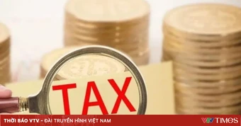 Thuế Hà Nội kêu gọi người nộp thuế tự rà soát mã số thuế