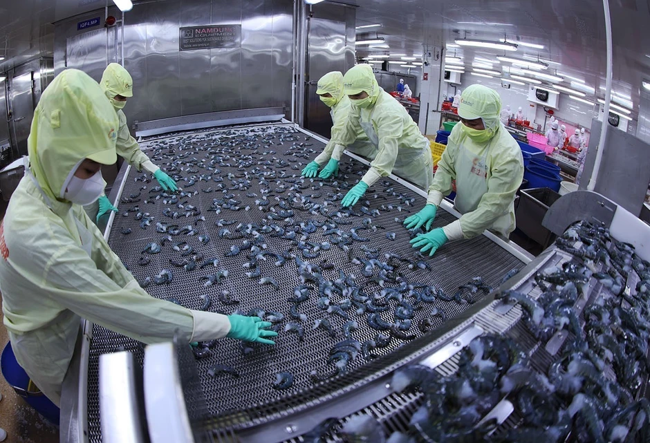 Thuế Mục 301 của Mỹ buộc doanh nghiệp thủy sản tái định vị chiến lược xuất khẩu Thuế Mục 301 của Mỹ buộc doanh nghiệp thủy sản tái định vị chiến lược xuất khẩu