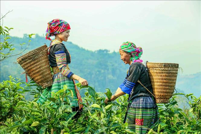 Thương hiệu quốc gia - Đòn bẩy định vị Việt Nam trong cạnh tranh giá trị toàn cầu Thương hiệu quốc gia - Đòn bẩy định vị Việt Nam trong cạnh tranh giá trị toàn cầu