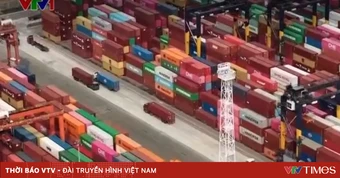 Thương mại Trung Quốc tăng trưởng ổn định