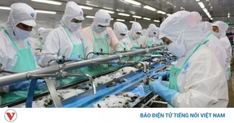 Thủy sản cần “lột xác” để nâng cạnh tranh trên đường dài xuất khẩu