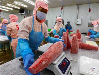 Thủy sản Việt Nam trước bài toán giữ thị phần ở Hoa Kỳ